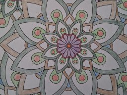 whatsapp image 2026-01-16 at 11.53.44